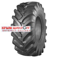 21,3-24 12PR 154A8 ИЯВ-79 TTF БЕЛАРУСЬ 21,3-24 12PR 154A8 ИЯВ-79 TTF БЕЛАРУСЬ
